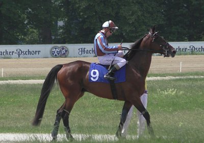 R Top Winner 3080041