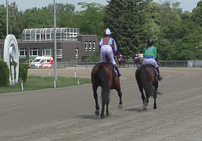 R Top Winner S3080035