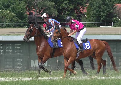 R Top Winner S3080037