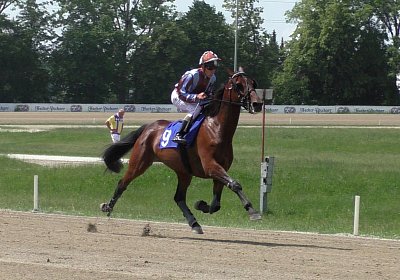 R Top Winner S3080045