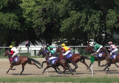 R Top Winner S3080052