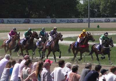 R Top Winner S3080053