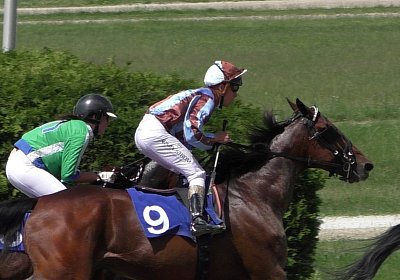 R Top Winner S3080055