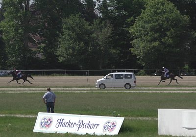 R Top Winner S3080059