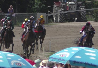 R Top Winner S3080060