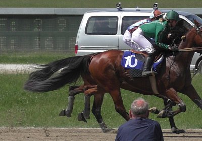 R Top Winner S3080063