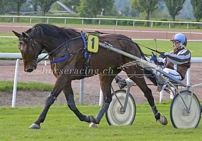 MB Avenches 180605 081 Cheval Chevy