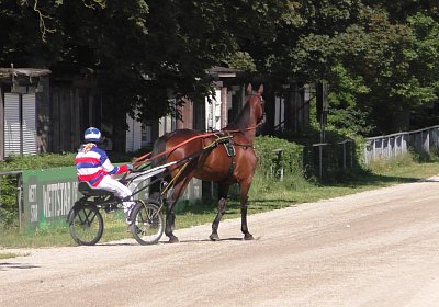 Top Sieg 20juni18 Daglfing A S3110076 Heat mit Sarah