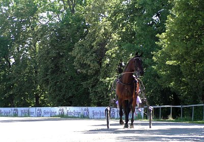 Top Sieg 20juni18 Daglfing A S3110081 Heat mit Sarah