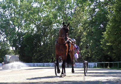 Top Sieg 20juni18 Daglfing A S3110082 Heat mit Sarah