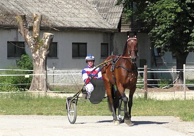 Top Sieg 20juni18 Daglfing B S3110086