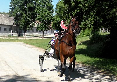 Top Sieg 20juni18 Daglfing B S3110087