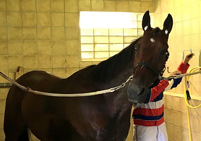 Top Sieg 20juni18 Daglfing C IMG 1985