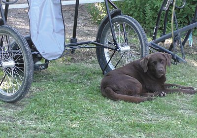 Top Sieg 20juni18 Daglfing D S3110084