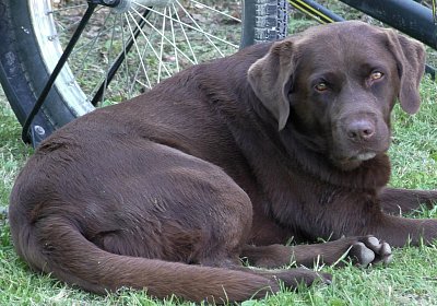 Top Sieg 20juni18 Daglfing D S3110085