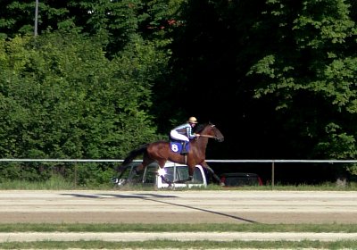 Top Sieg 20juni18 Daglfing S3110103 Heat mit Ronja