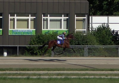 Top Sieg 20juni18 Daglfing S3110104 Heat mit Ronja