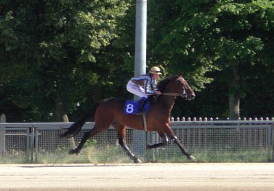 Top Sieg 20juni18 Daglfing S3110105 Heat mit Ronja