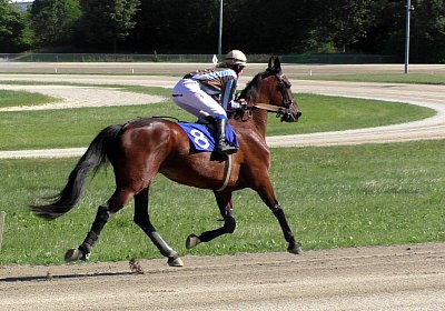 Top Sieg 20juni18 Daglfing S3110108 Heat mit Ronja