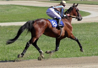 Top Sieg 20juni18 Daglfing S3110113 Heat mit Ronja