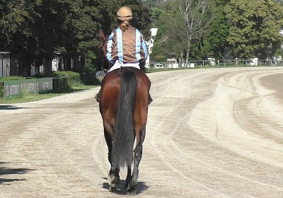 Top Sieg 20juni18 Daglfing S3110120