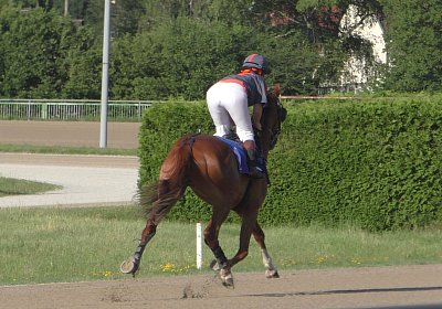 Top Sieg 20juni18 Daglfing S3110128 Ste Theiler