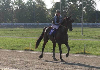 Top Sieg 20juni18 Daglfing S3110159