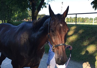 Top Sieg 20juni18 Daglfing Z IMG 1998