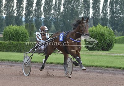 MB Avenches-180706 042 Cheval