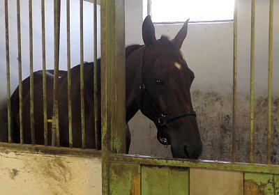 B Top IMG 3209S3160047