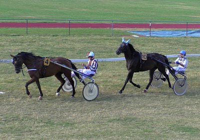 S3230008 Viacus Light