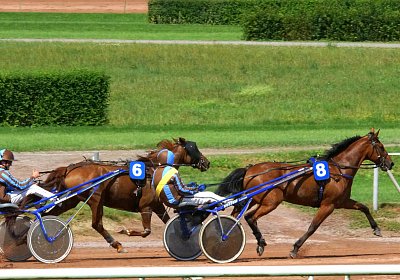 R5 DSC02841 Rebus Tilleul d Anjou