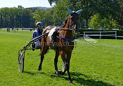 Semola MB Aarau 180826 068 Semola