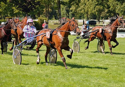 Viacus uw 01 03 uvidus etc