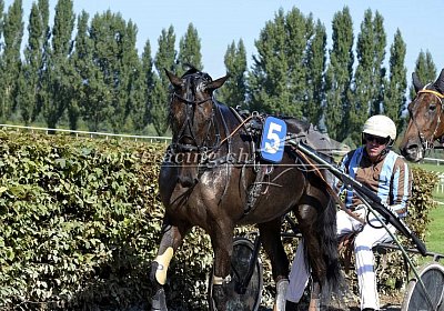 T Avenches 180917 066 Deniro