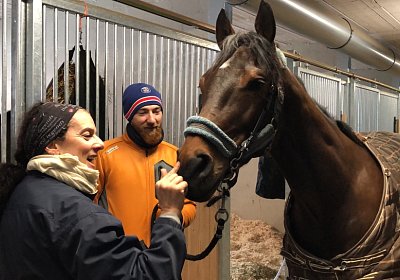 IMG 1407 Jungleboogie