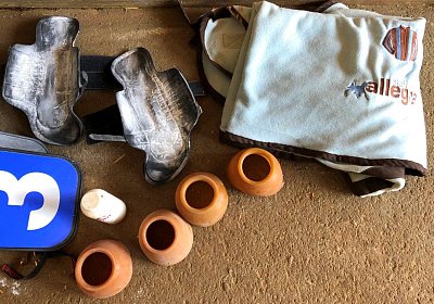 Allegra bereit IMG 4373