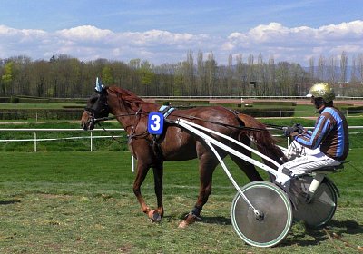 Gustavo Rennen S3500011