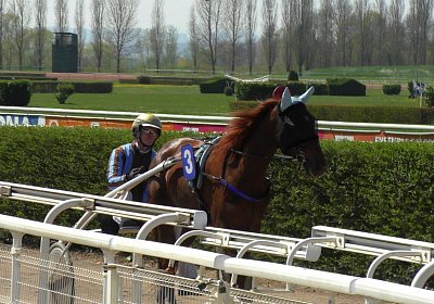 Gustavo j Rennen S3500006