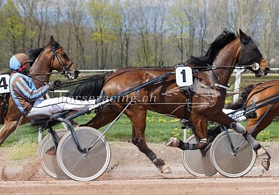 Viacus scs 190418 038 Viacus Frazeen