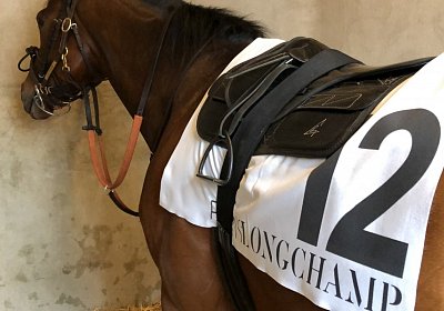 Jungleboogie Longchamp 2019 05 04 D IMG 5205
