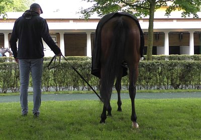 Jungleboogie Longchamp 2019 05 04 O S3550051