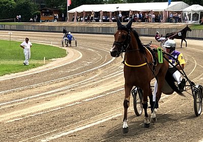 D Elkador IMG 6816