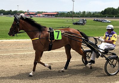 D Elkador IMG 6817