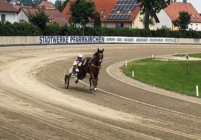 D Elkador IMG 6825