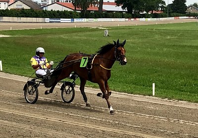D Elkador IMG 6828