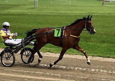 D Elkador IMG 6830