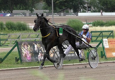 Sieger S3640076 Berlin 2019 06 16 Jack Scott