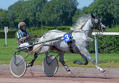 Vento MB Avenches 190818 097 Vento Petral