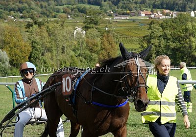 Sieger nv 02 01 cheval ung